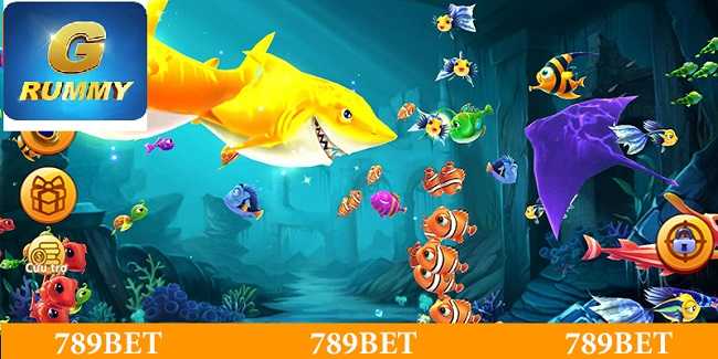 Experience playing fish shooting game for newbies